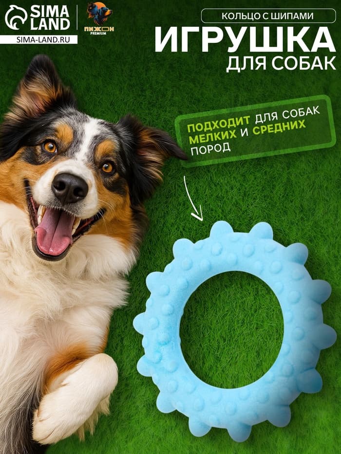 Плавающая игрушка для собак Пижон Premium «Кольцо с шипами», 8 см, вспененный TPR, голубая