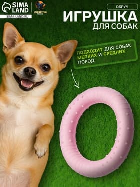 Плавающая игрушка для собак Пижон Premium «Обруч», 8 см, вспененный TPR, розовая