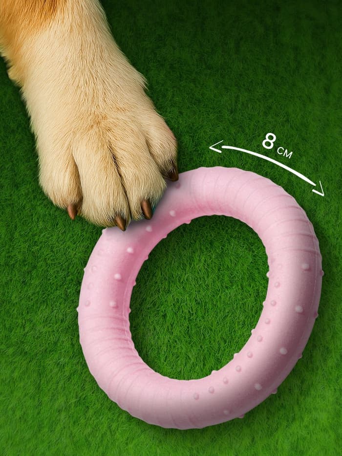 Плавающая игрушка для собак Пижон Premium «Обруч», 8 см, вспененный TPR, розовая