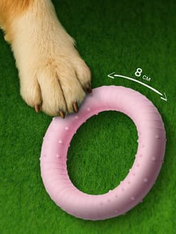 Плавающая игрушка для собак Пижон Premium «Обруч», 8 см, вспененный TPR, розовая