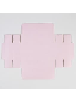 Коробка для конфет и кейк-попсов, кондитерская упаковка «Расцветай от счастья», 10×20×5 см