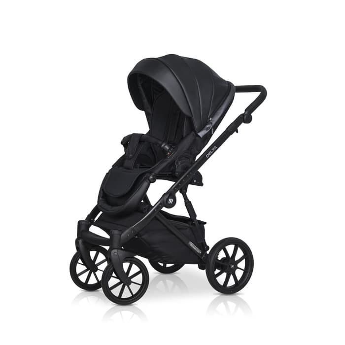 Коляска 2 в 1 Riko Delta Ecco, цвет black
