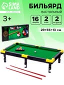 Бильярд «Опытный игрок», 29×55 см