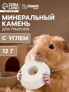Минеральный камень «Пижон» для грызунов с углем, 12 г