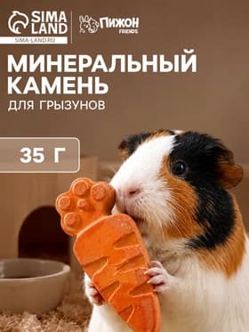 Минеральный камень для грызунов «Пижон», морковка, 35 г
