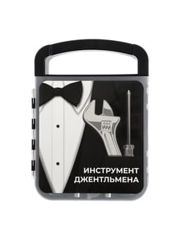 Набор инструментов ТУНДРА, подарочный пластиковый кейс, 22 предмета