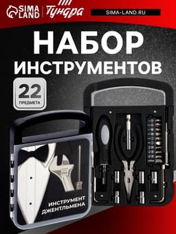 Набор инструментов ТУНДРА, подарочный пластиковый кейс, 22 предмета