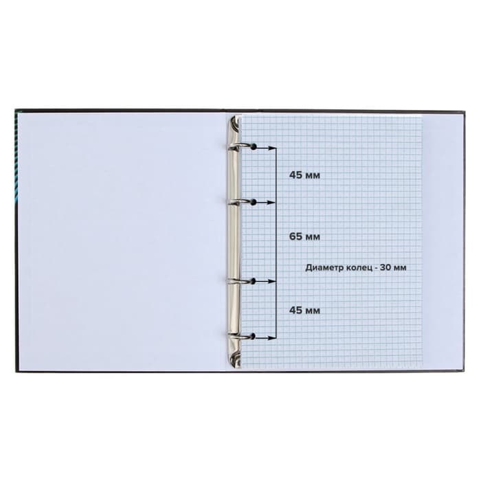 Тетрадь на кольцах Calligrata A5, 80 листов, в клетку, пластиковая обложка, блок офсет, салатовая