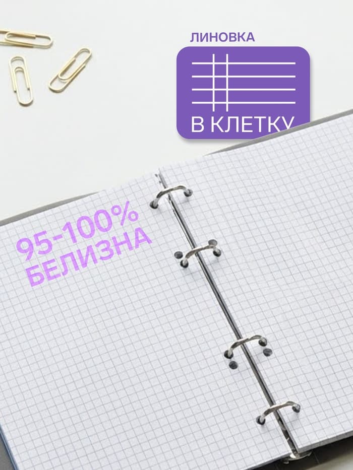 Тетрадь на кольцах Calligrata A5, 80 листов, в клетку, пластиковая обложка, блок офсет, голубая