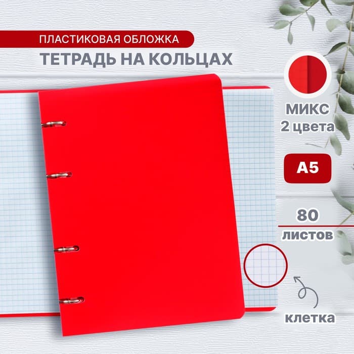 Тетрадь на кольцах A5 80 листов в клетку Calligrata, пластиковая обложка, блок офсет, белизна 95%, МИКС