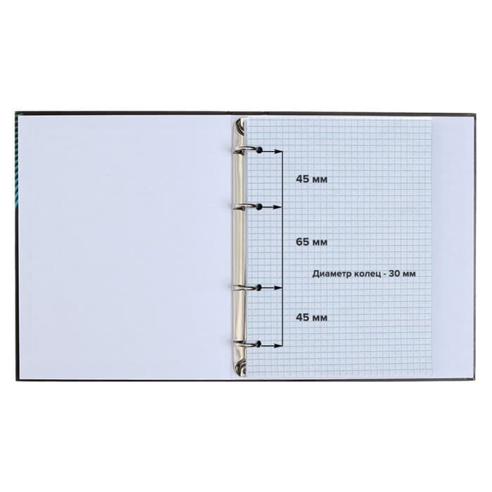 Тетрадь на кольцах A5 80 листов в клетку Calligrata, пластиковая обложка, блок офсет, белизна 95%, МИКС
