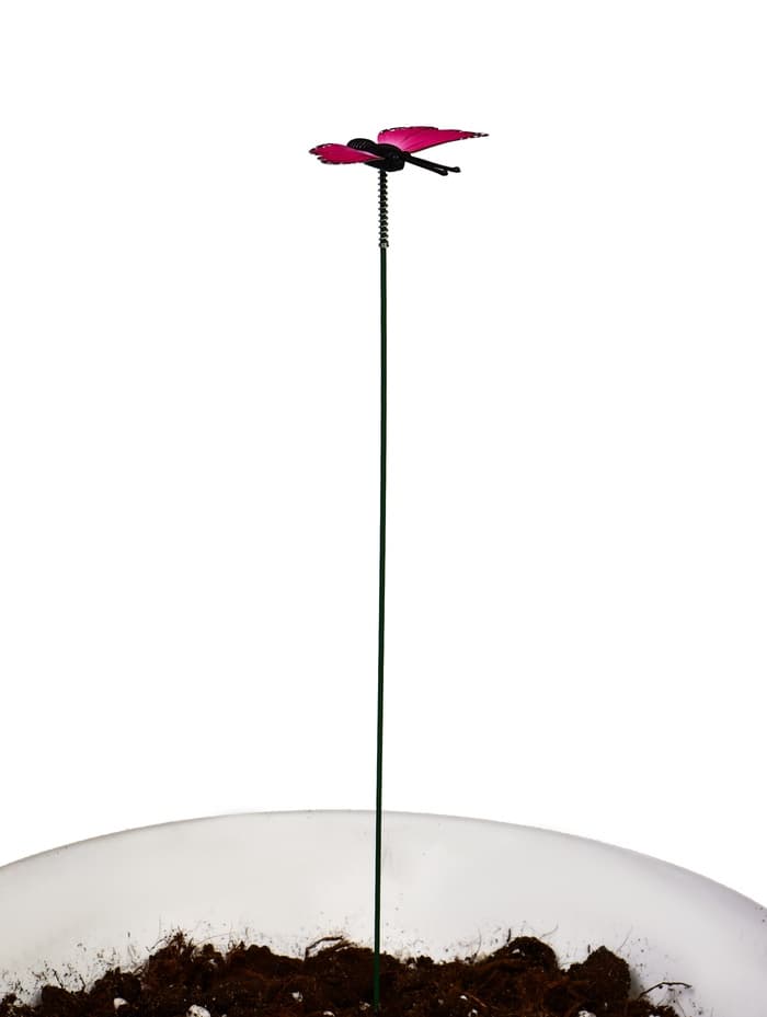 Штекер садовый «Бабочка мейбл», 4 см, h=27 см, МИКС