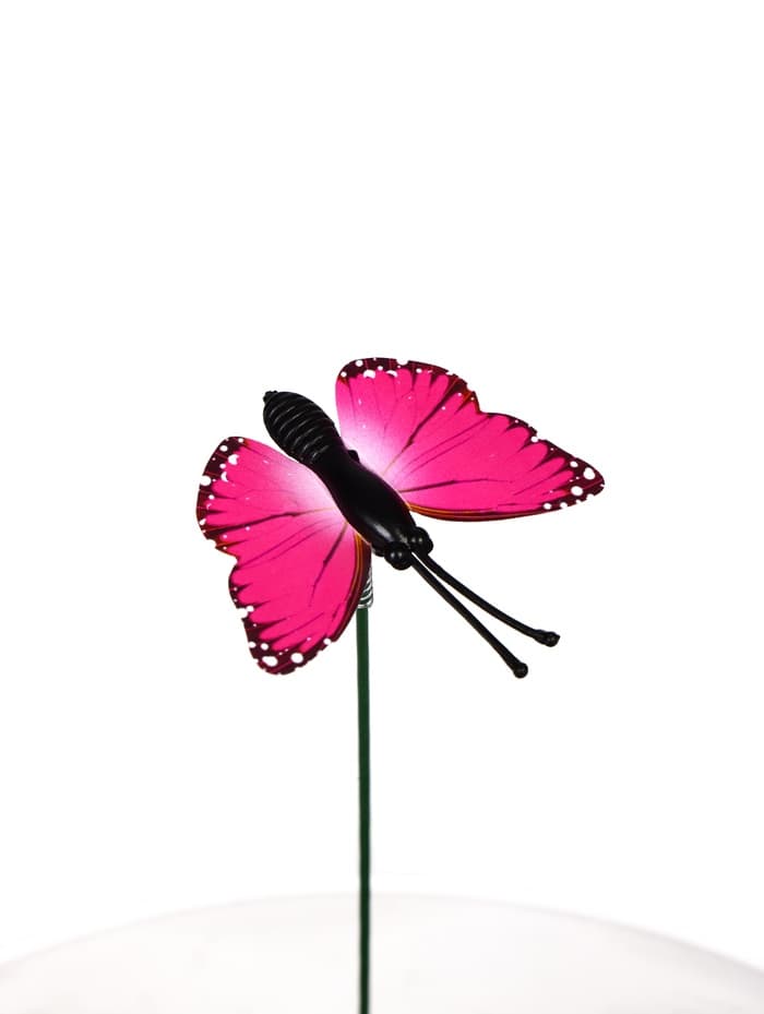 Штекер садовый «Бабочка мейбл», 4 см, h=27 см, МИКС