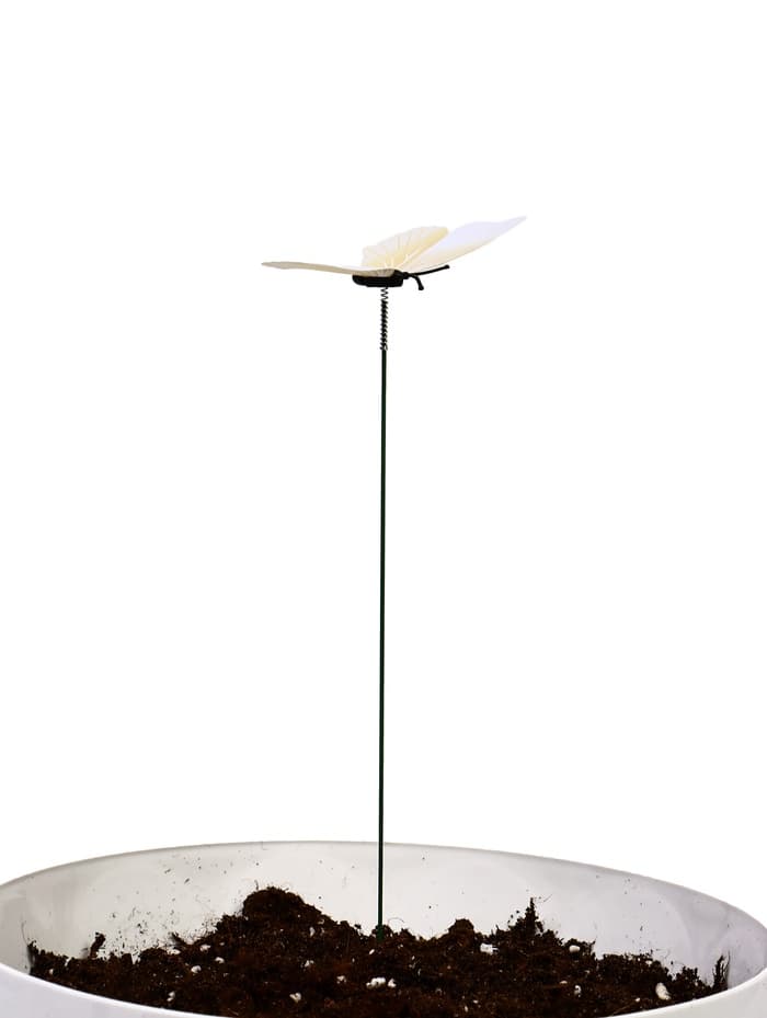 Штекер садовый «Бабочка элен», 7 см, h=30 см, белый