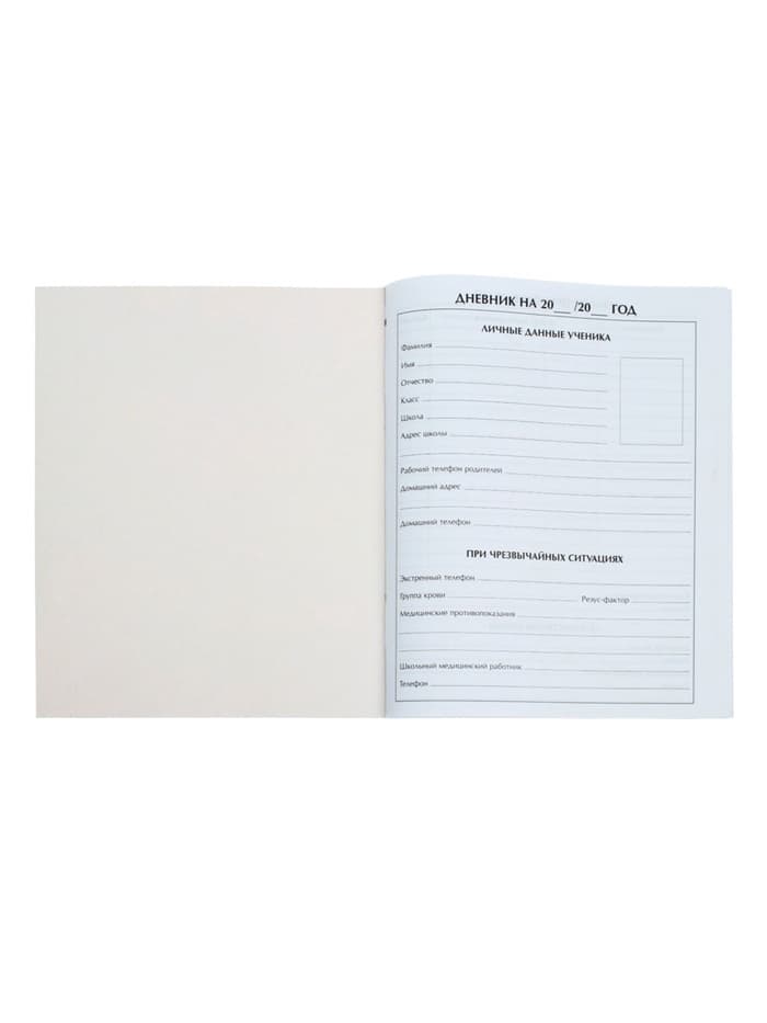 Дневник школьный для 1-11 классов, «Мрамор», мягкая обложка, 40 листов