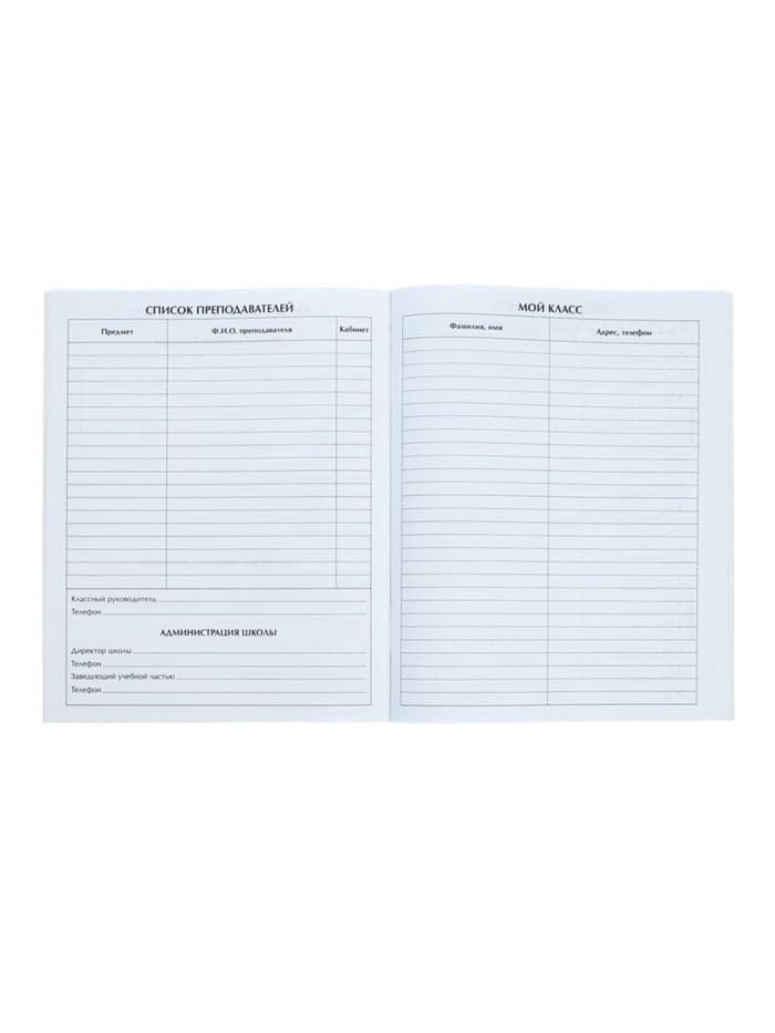 Дневник школьный для 1-11 классов, «Мрамор», мягкая обложка, 40 листов