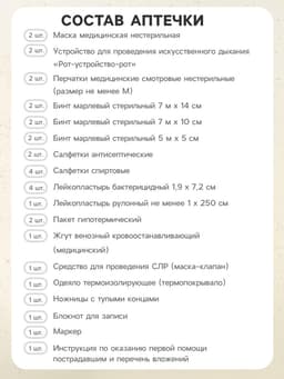 Аптечка для оказания первой помощи работникам ФЭСТ, сумка 0370/1, приказ а 262н