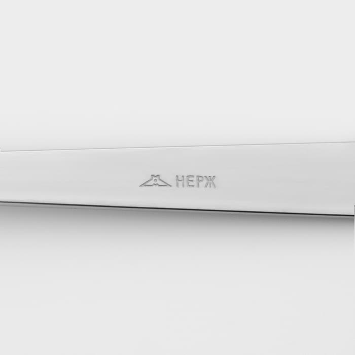 Ложка столовая «Аппетит», длина 19.5 см, толщина 2 мм, цвет серебряный