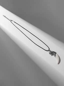 Кулон унисекс «Клык тигра», белый в чернёном серебре на чёрном шнурке, 40 см