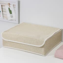 Органайзеры для хранения белья «Пастель», 3 шт., с крышкой, 31.5×25×10 см, бежевые