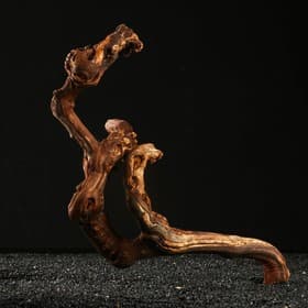 Коряга для аквариума «Лоза виноградная», 40 - 50 см