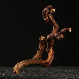 Коряга для аквариума «Лоза виноградная», 40 - 50 см