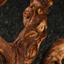 Коряга для аквариума «Лоза виноградная», 40 - 50 см