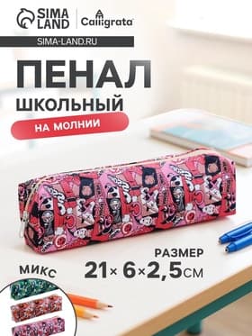 Пенал школьный Calligrata «Комикс», на молнии, 1 отделение, МИКС