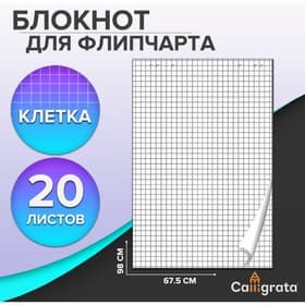 Блокнот для флипчарта в клетку Calligrata, 67.5×98 см, 20 листов, 80 г/м², белизна 92%