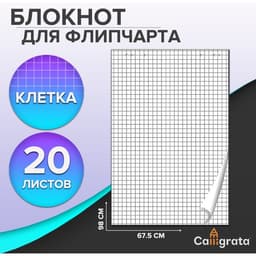 Блокнот для флипчарта в клетку Calligrata, 67.5×98 см, 20 листов, 80 г/м², белизна 92%