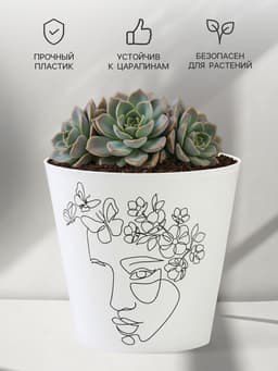 Кашпо для цветов «Силуэт», 800 мл, d=12 см, h=11 см, пластиковое