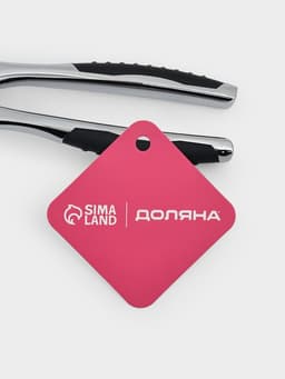 Пресс для чеснока Доляна Shapes, 17×4.7×3.2 см, рабочая часть 4×3 см, нержавеющая сталь, серебристый