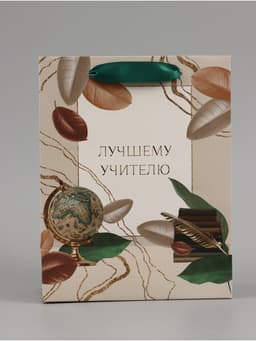 Пакет подарочный ламинированный, упаковка, «Лучшему учителю», MS 18×23×10 см