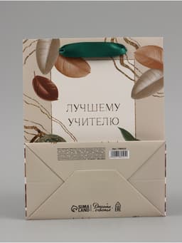 Пакет подарочный ламинированный, упаковка, «Лучшему учителю», MS 18×23×10 см