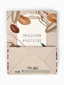 Пакет подарочный ламинированный, упаковка, «Лучшему учителю», MS 18×23×10 см