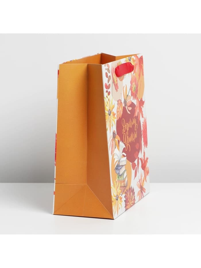 Пакет подарочный ламинированный, упаковка, «Дорогому учителю», ML 27×23×11.5 см