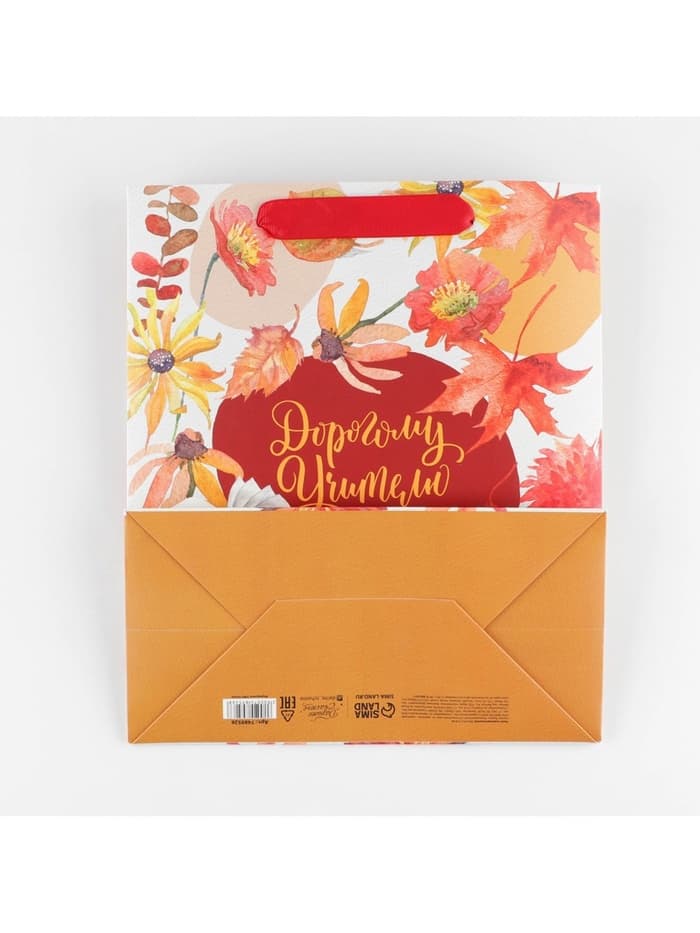 Пакет подарочный ламинированный, упаковка, «Дорогому учителю», ML 27×23×11.5 см