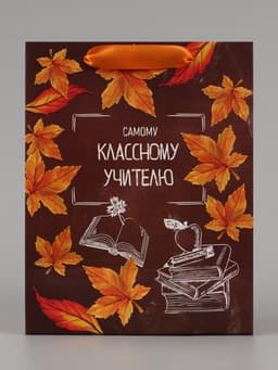 Пакет подарочный ламинированный, упаковка, «Классному учителю», MS 18×23×10 см