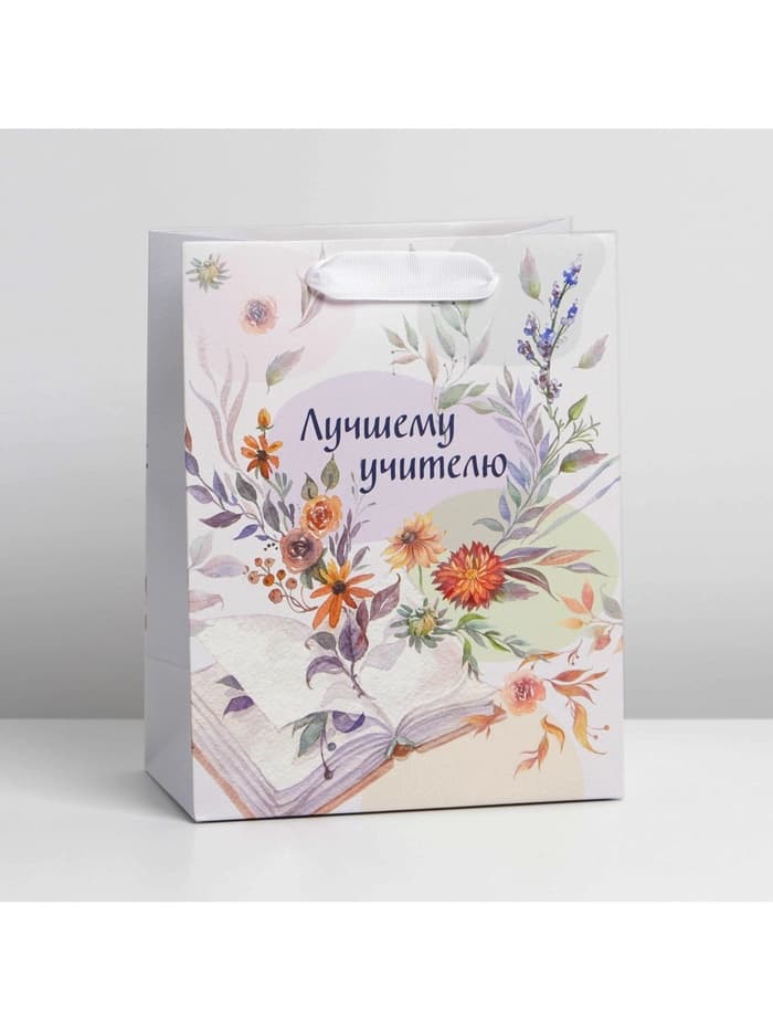 Пакет подарочный ламинированный, упаковка, «Лучшему учителю», MS 18×23×10 см