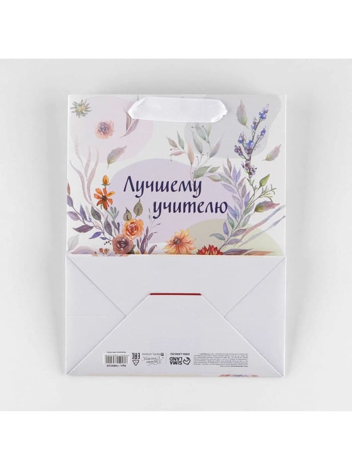 Пакет подарочный ламинированный, упаковка, «Лучшему учителю», MS 18×23×10 см