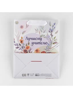 Пакет подарочный ламинированный, упаковка, «Лучшему учителю», MS 18×23×10 см