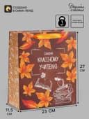 Пакет подарочный ламинированный «Учитель года», ML 27×23×11.5 см