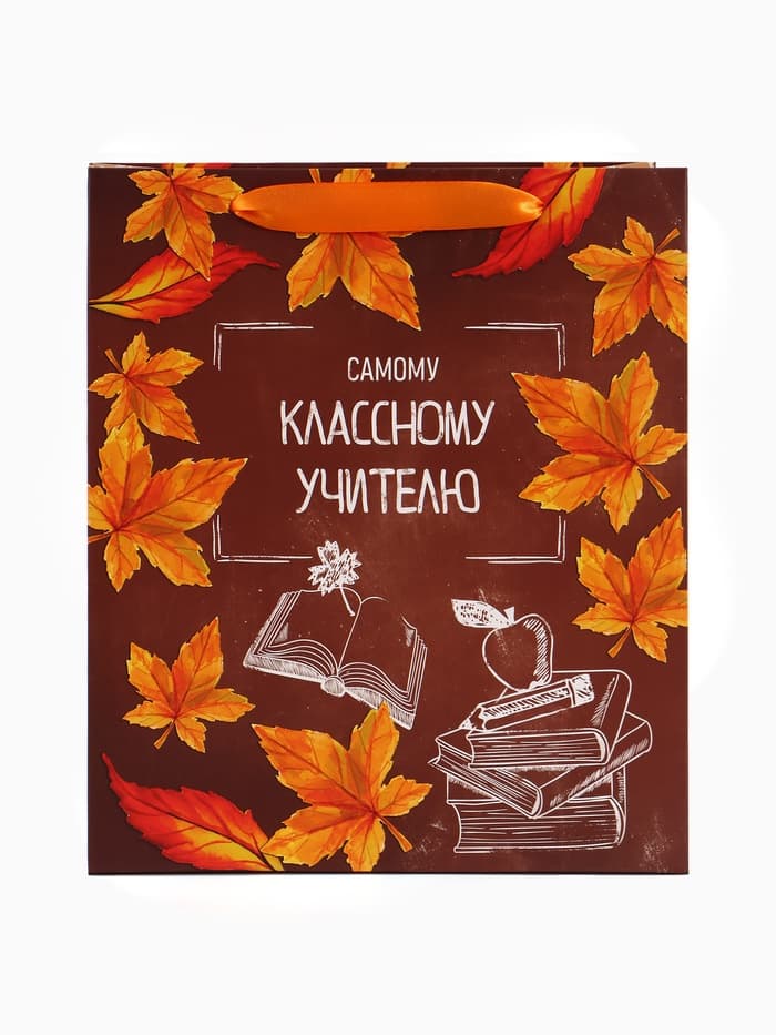 Пакет подарочный ламинированный «Учитель года», ML 27×23×11.5 см