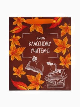 Пакет подарочный ламинированный «Учитель года», ML 27×23×11.5 см