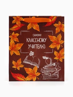 Пакет подарочный ламинированный «Учитель года», ML 27×23×11.5 см