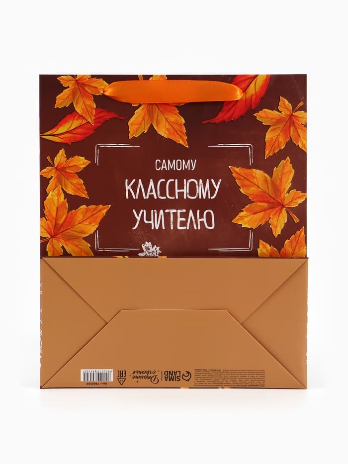 Пакет подарочный ламинированный «Учитель года», ML 27×23×11.5 см