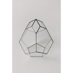 Флорариум «Бутон», стекло, швы чёрные