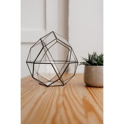 Флорариум «Смарт - 2», стекло, швы чёрные