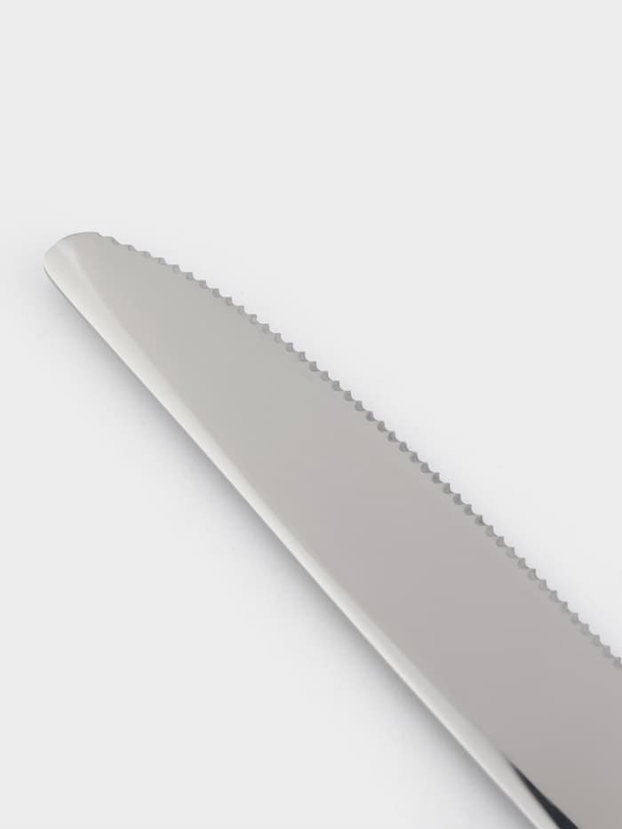 Нож столовый Magistro Workshop, длина 22 см, нержавеющая сталь, серебристый