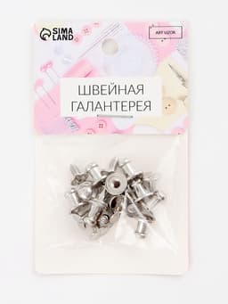 Кобурный винт d=5/6×8 мм, 10 шт., цвет серебряный